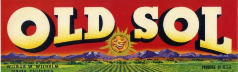 Old Sol